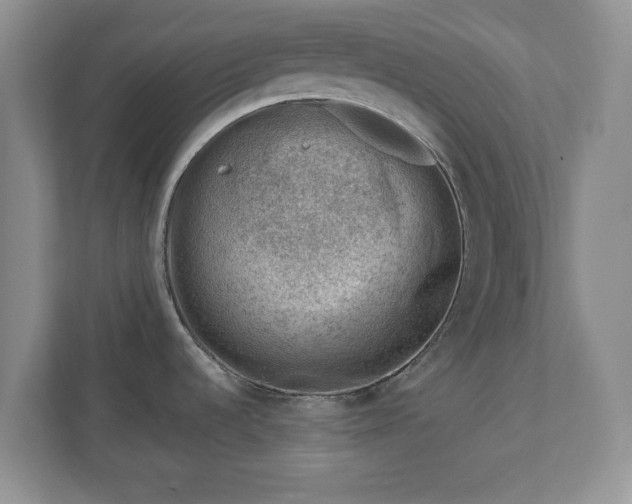 X0000111041536200907021548