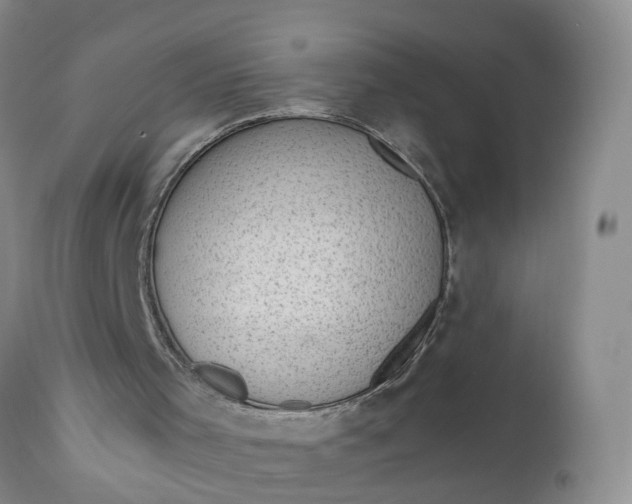 X0000111040001200907091621