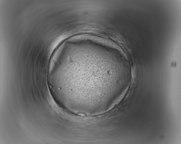 X0000111040003200907091620