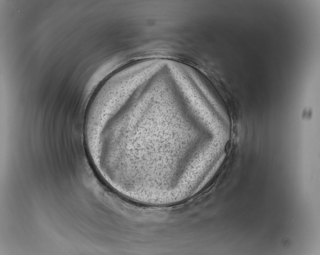 X0000111040004200907091620