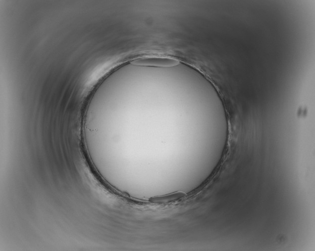 X0000111040005200907091620