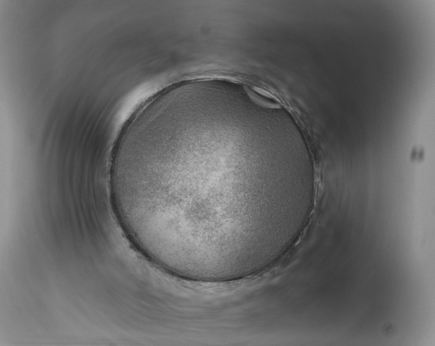 X0000111040006200907091620