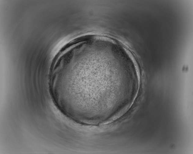 X0000111040007200907091620