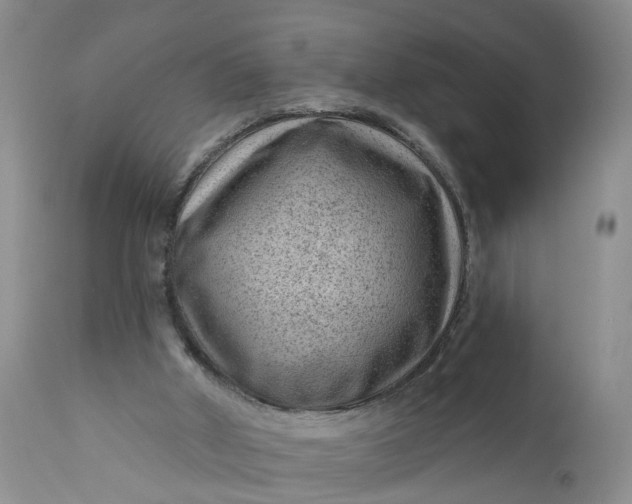 X0000111040010200907091620