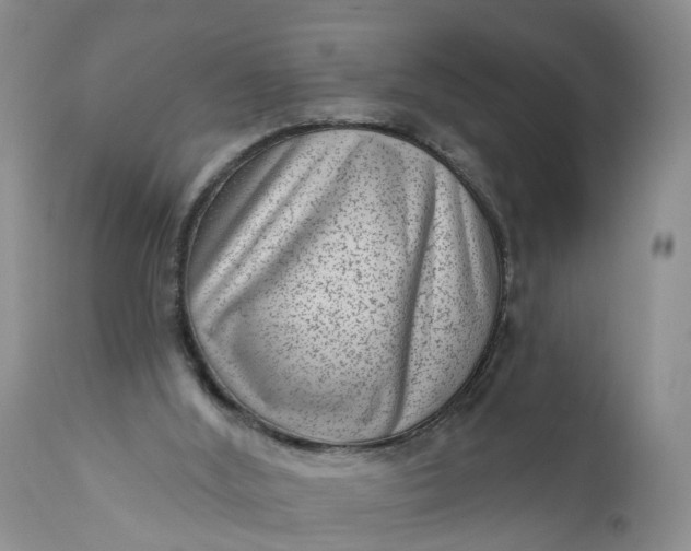 X0000111040012200907091620