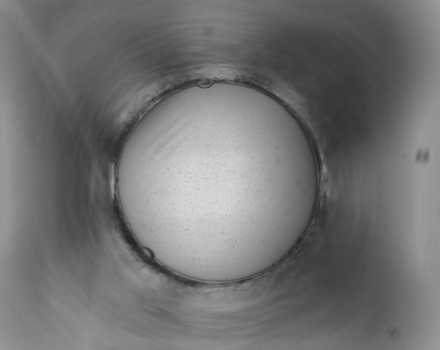 X0000111040013200907091620