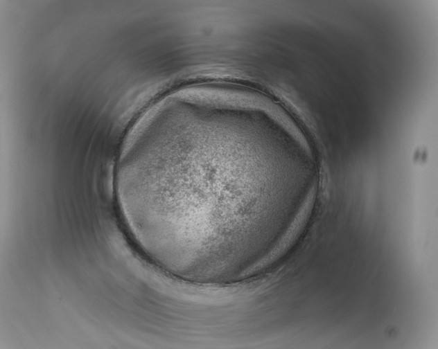 X0000111040014200907091620