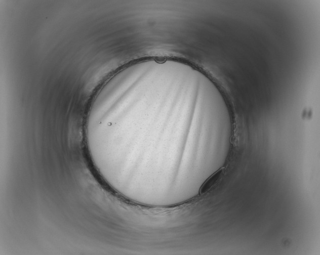 X0000111040015200907091620