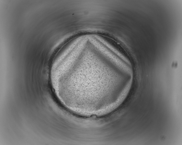 X0000111040016200907091620