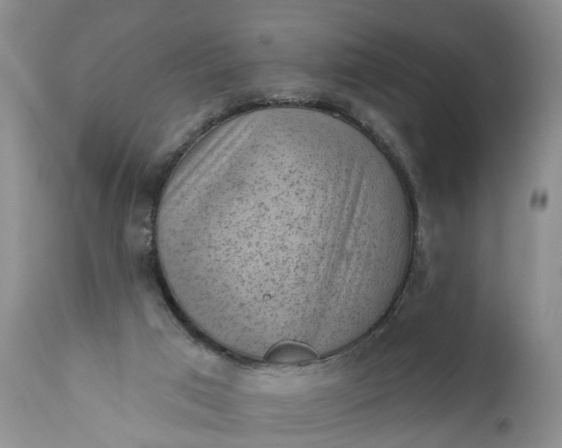 X0000111040017200907091620