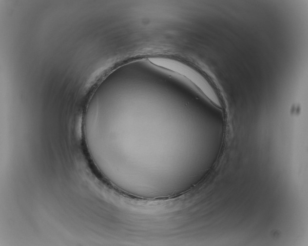 X0000111040019200907091620