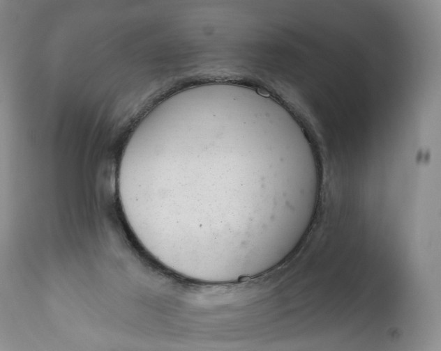 X0000111040021200907091620