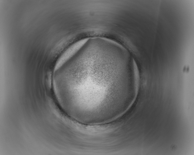 X0000111040022200907091620