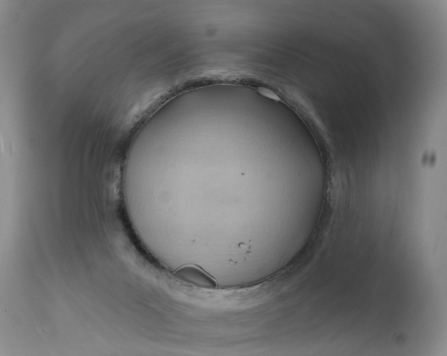 X0000111040023200907091620