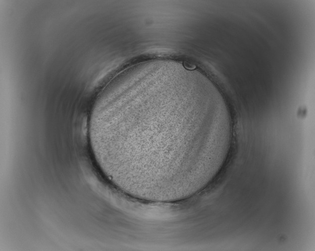 X0000111040024200907091620