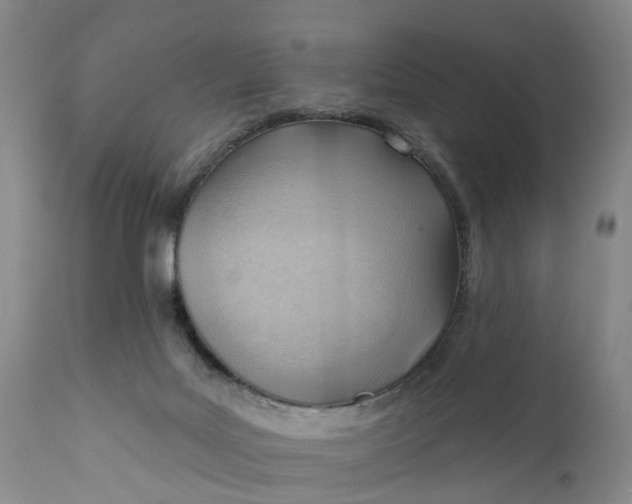 X0000111040027200907091620