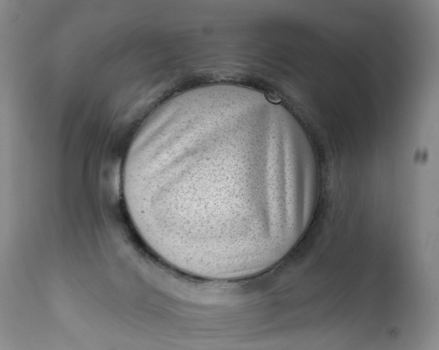 X0000111040028200907091620