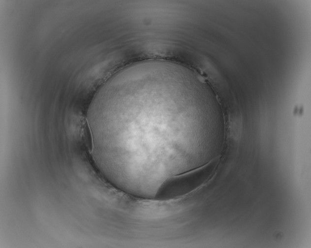 X0000111040029200907091620