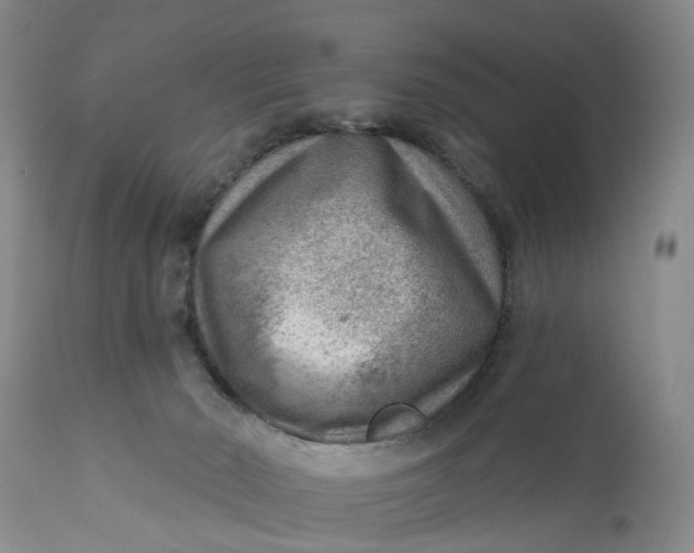 X0000111040030200907091620