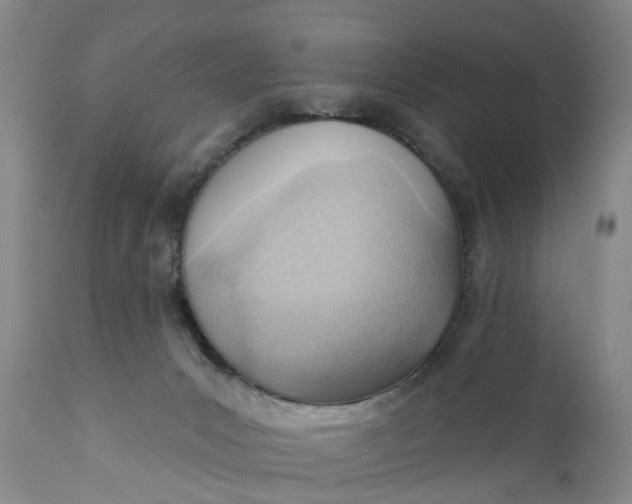 X0000111040031200907091620