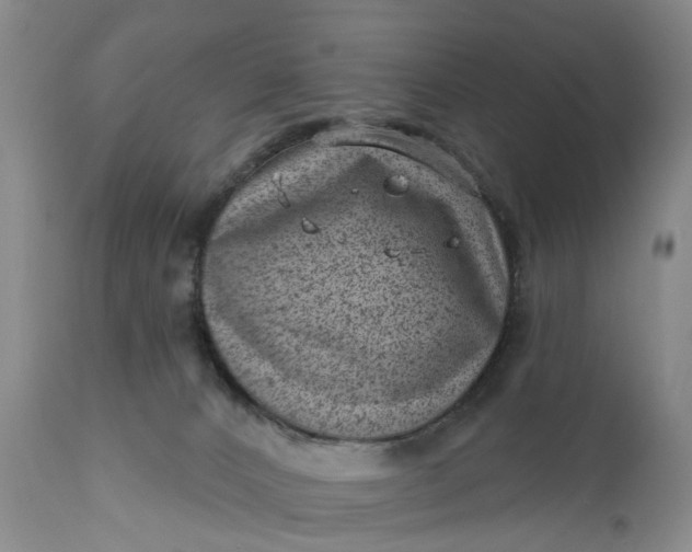 X0000111040032200907091620