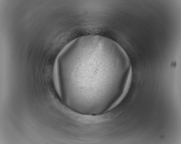 X0000111040034200907091620