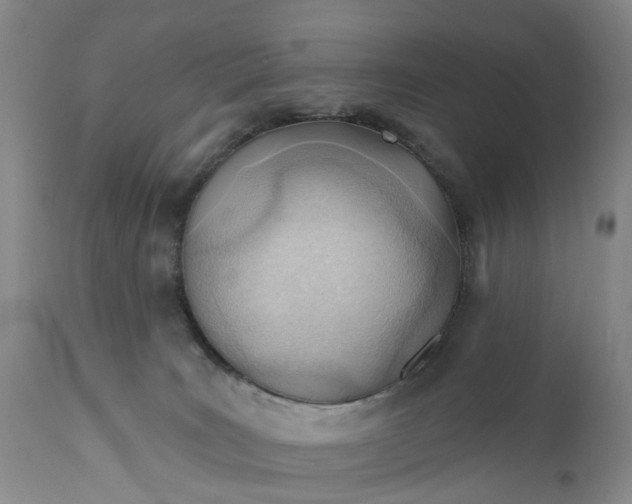 X0000111040035200907091620