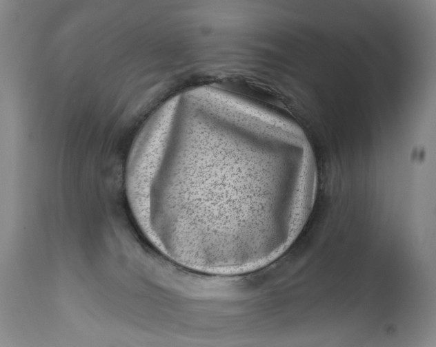 X0000111040036200907091620