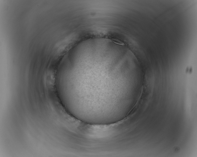 X0000111040037200907091620