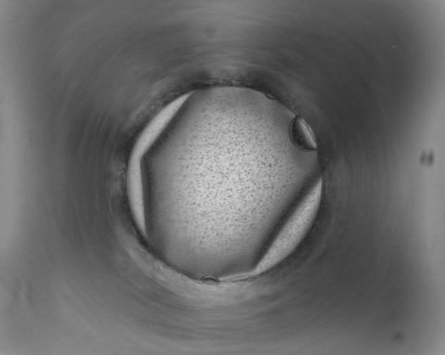 X0000111040038200907091620