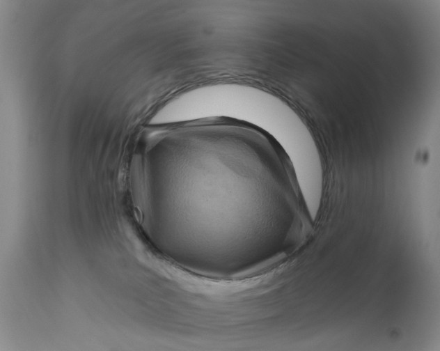 X0000111040039200907091620