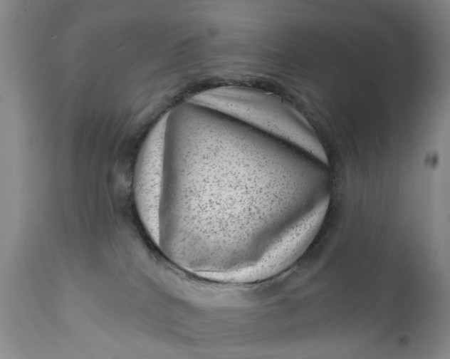 X0000111040040200907091620