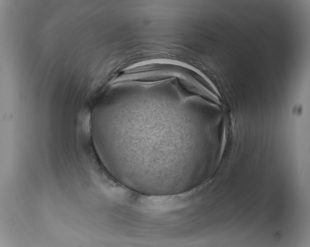 X0000111040041200907091620