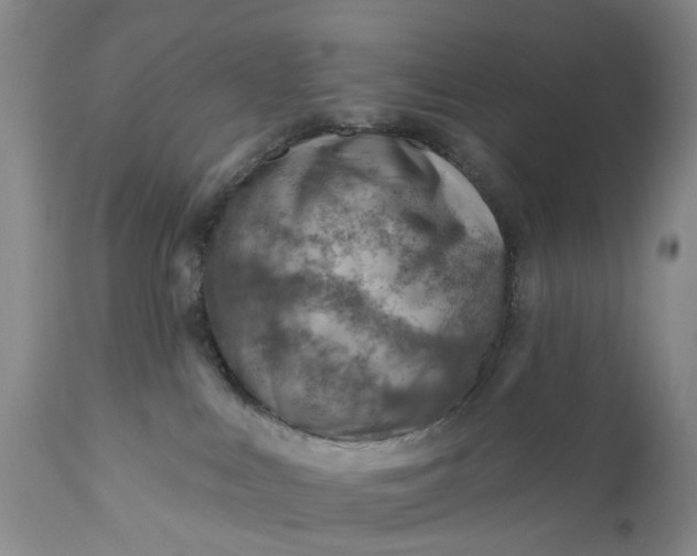 X0000111040043200907091620