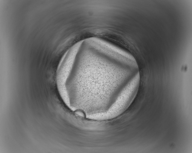 X0000111040044200907091620