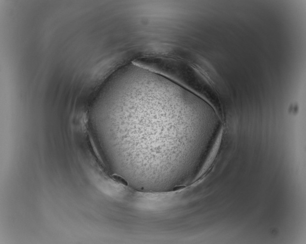 X0000111040045200907091620