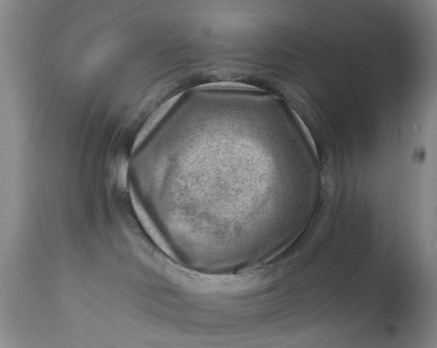 X0000111040046200907091620