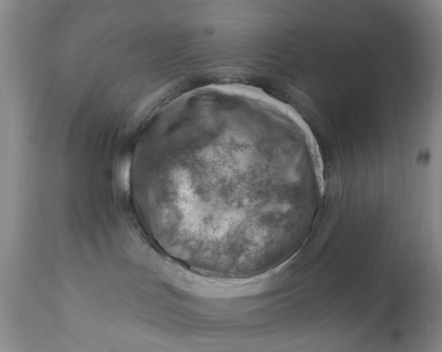 X0000111040047200907091620