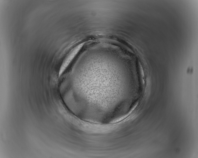 X0000111040048200907091620