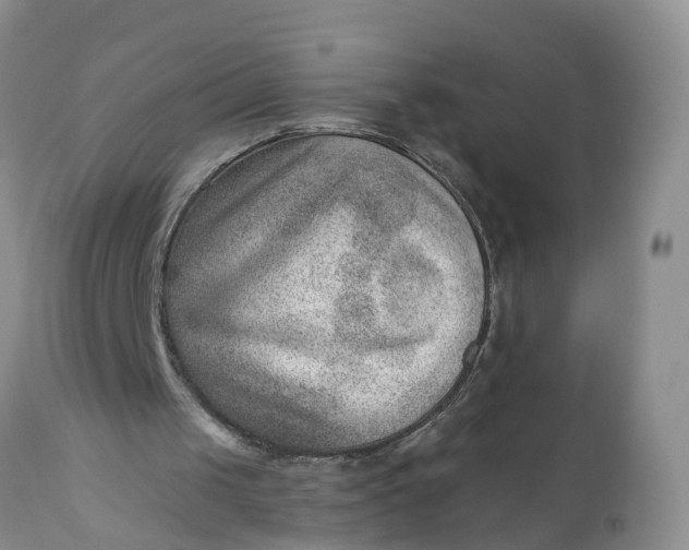 X0000111040049200907091619