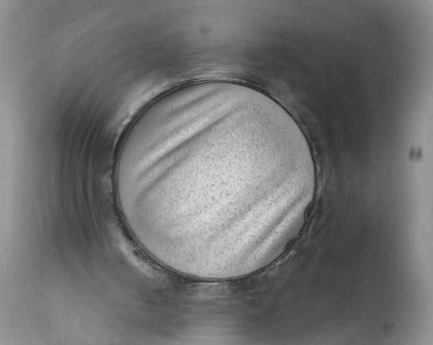 X0000111040050200907091619