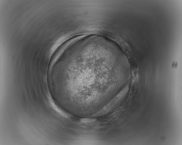 X0000111040051200907091619