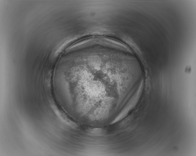 X0000111040058200907091619