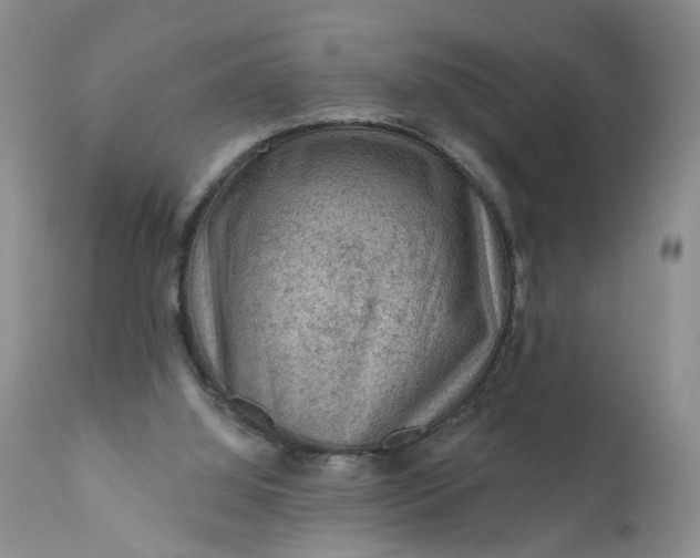 X0000111040060200907091619