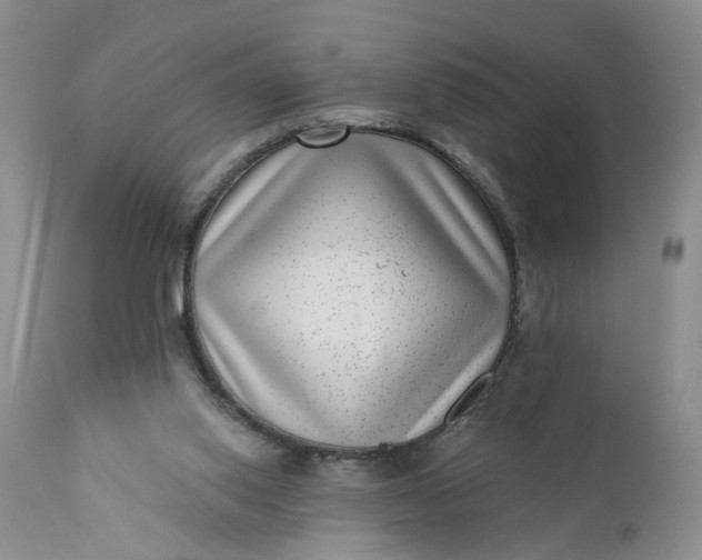 X0000111040062200907091619