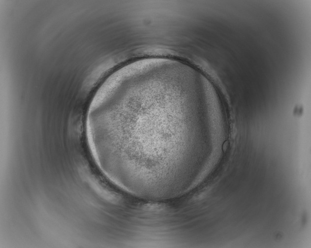 X0000111040063200907091619