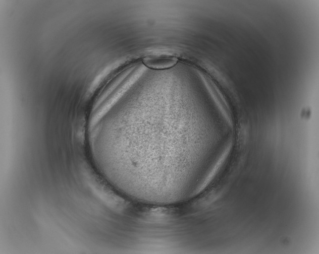 X0000111040064200907091619