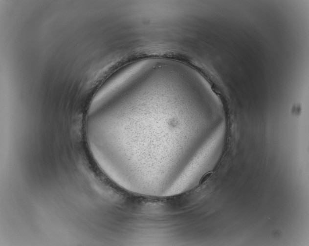 X0000111040066200907091619