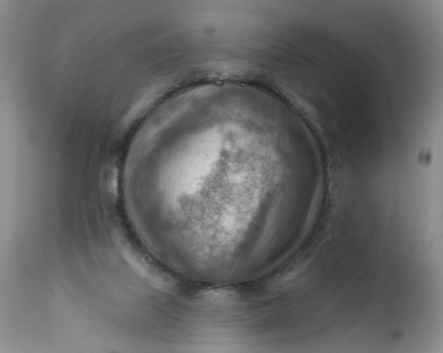 X0000111040067200907091619