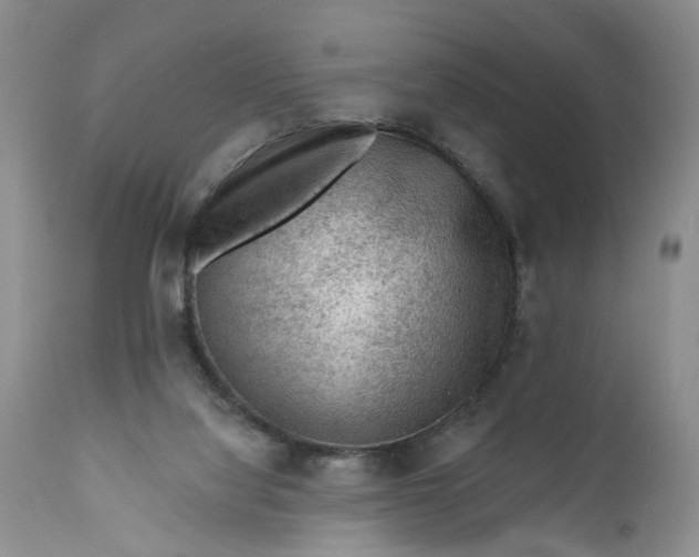 X0000111040068200907091619